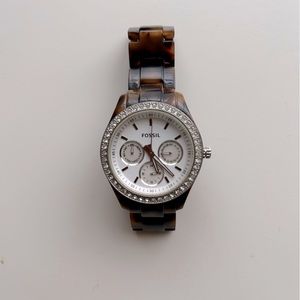 Fossil Tortoise Watch